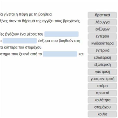 Πεπτικό Σύστημα Ασπόνδυλων_icon