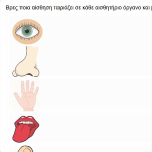 Παίξε με τις αισθήσεις_icon