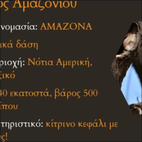 Παπαγάλος Αμαζονίου_icon