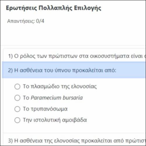Ερωτήσεις Πολλαπλής Επιλογής_icon