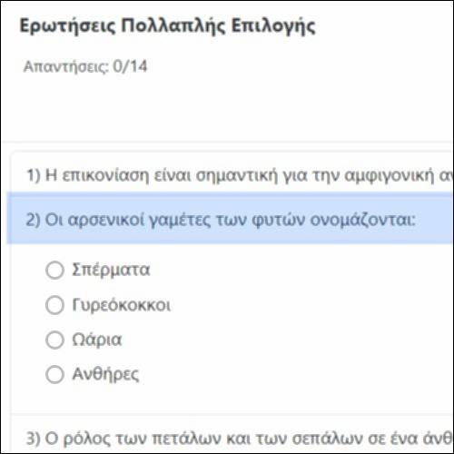 Ερωτήσεις Πολλαπλής Επιλογής_icon
