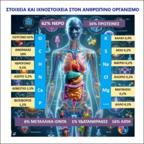 Στοιχεία και ιχνοστοιχεία στον ανθρώπινο οργανισμό_icon
