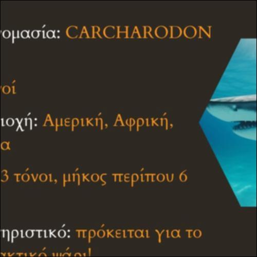 Καρχαρίας_icon
