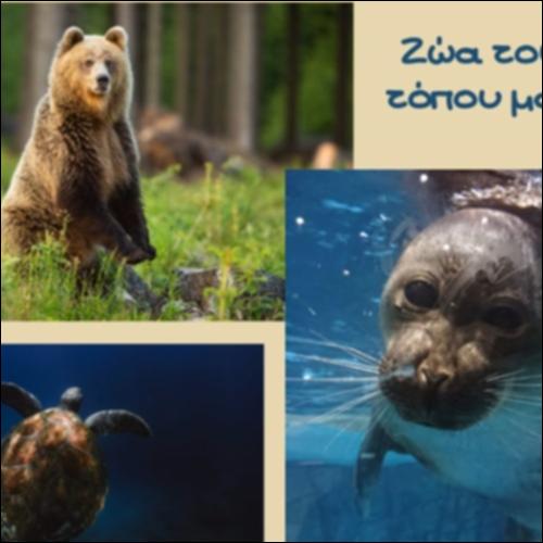 Ζώα του τόπου μας_icon