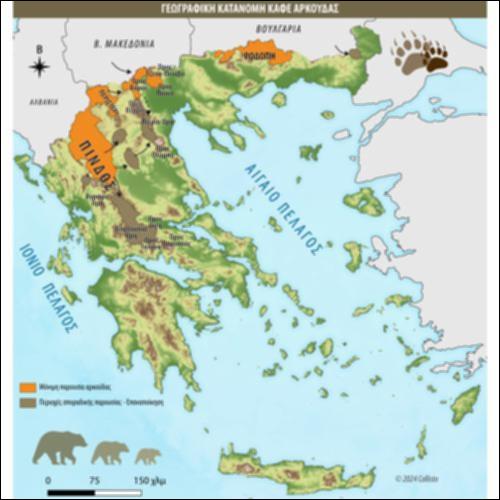 Γεωγραφική κατανομή καφέ αρκούδας_icon