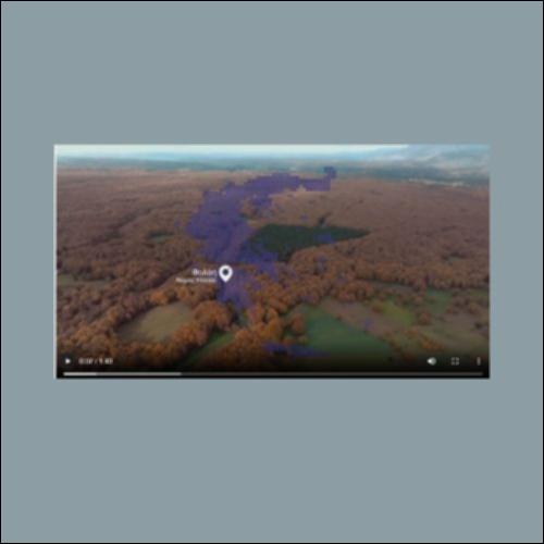 Το δρυοδάσος της Φολόης_icon