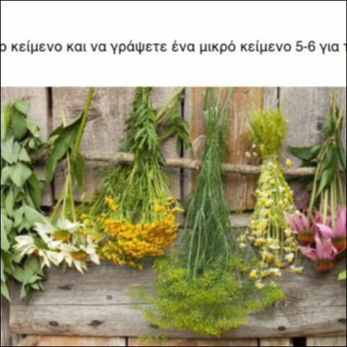 Τα 12 καλύτερα Ελληνικά βότανα_icon