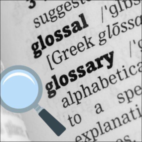 Γλωσσάρι όρων για τα 