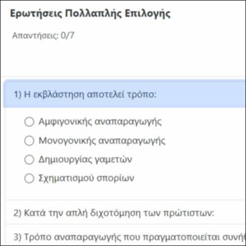 Ερωτήσεις Πολλαπλής Επιλογής_icon