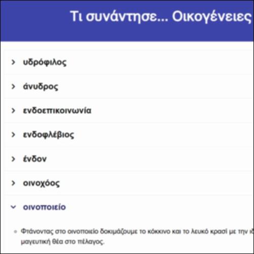Τι συνάντησε... Οικογένειες λέξεων_icon