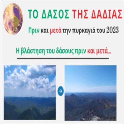Το δάσος της Δαδιάς_icon
