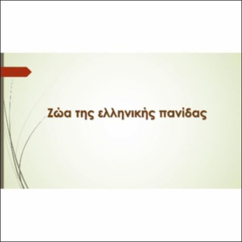 Βιοτικοί παράγοντες: Πανίδα_icon
