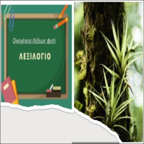 Παράγωγες – Σύνθετες λέξεις της οικογένειας 
