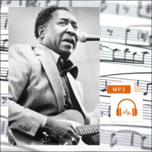 Riff από το τραγούδι “Hoochie Coochie Man” (Muddy Waters, Willie Dixon)_icon