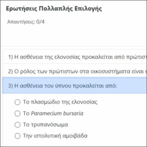 Ερωτήσεις Πολλαπλής Επιλογής_icon
