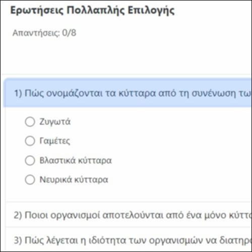Ερωτήσεις Πολλαπλής Επιλογής_icon