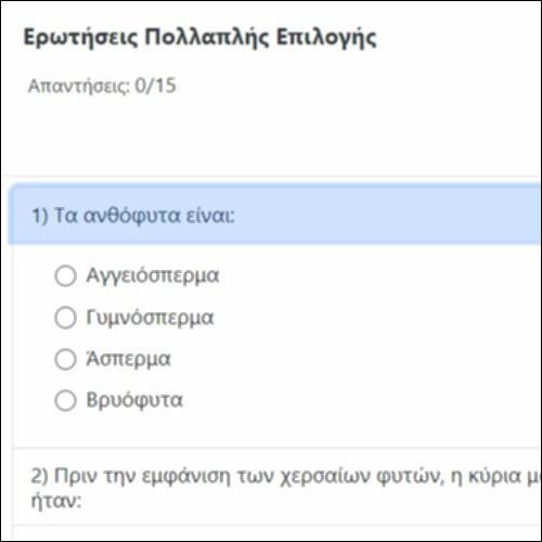 Ερωτήσεις Πολλαπλής Επιλογής_icon