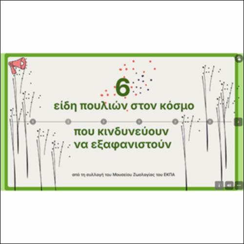 6 είδη πουλιών στον κόσμο που κινδυνεύουν να εξαφανιστούν_icon