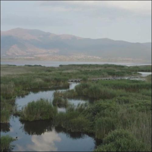 Έθιμο Παρχάρ: κειμενικοί τύποι_icon