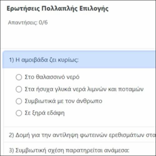 Ερωτήσεις Πολλαπλής Επιλογής_icon