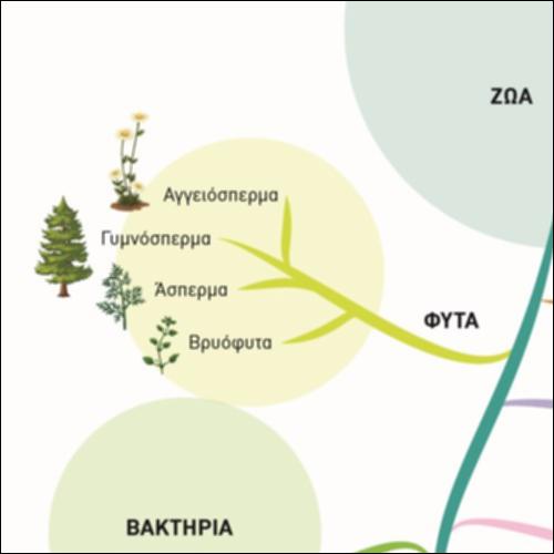 Φυλογενετικό Δένδρο_icon