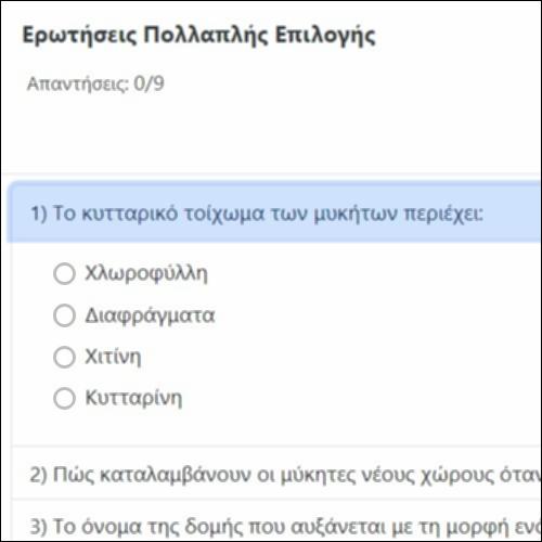 Ερωτήσεις Πολλαπλής Επιλογής_icon