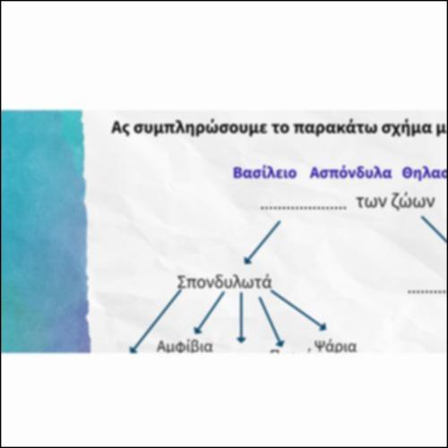 Εννοιολογικός χάρτης με τις κατηγορίες ζώων_εικονίδιο