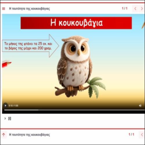 Η ταυτότητα της κουκουβάγιας_icon