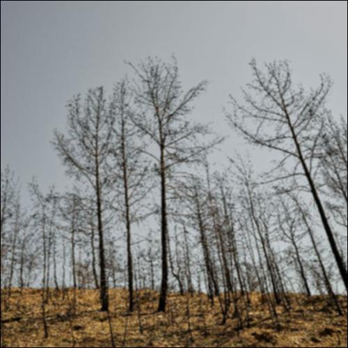 Φυσικές καταστροφές_icon