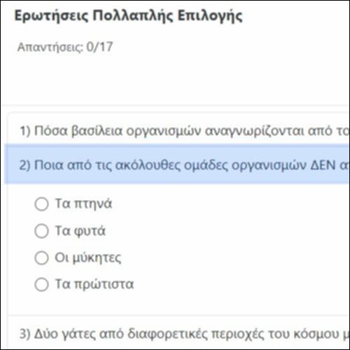 Ερωτήσεις Πολλαπλής Επιλογής_icon