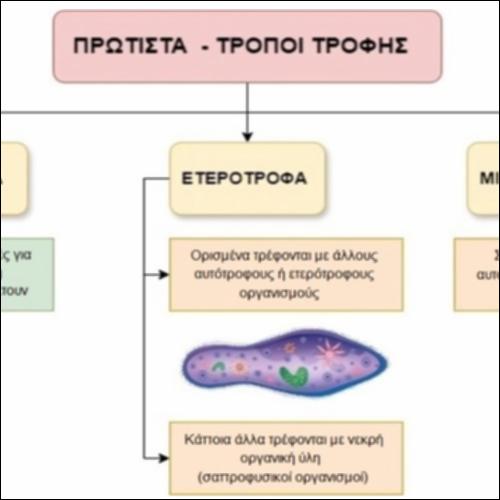 Πρώτιστα: Τρόποι Τροφής_icon