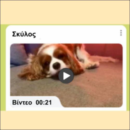 Κουίζ για τους ψηφιακούς πόρους μίας ιστοσελίδας_icon