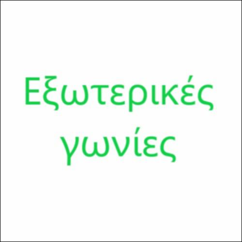 Άθροισμα εξωτερικών γωνιών κυρτού πολυγώνου_icon