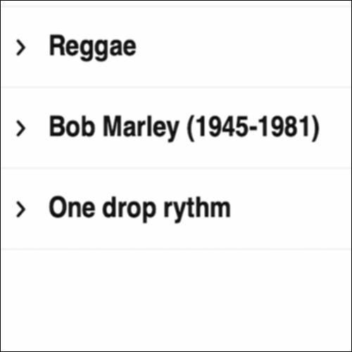 Reggae: Γλωσσάρι_icon