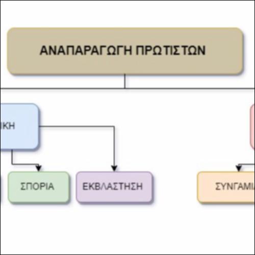 Αναπαραγωγή Πρωτίστων_icon