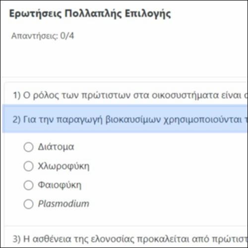 Ερωτήσεις Πολλαπλής Επιλογής_icon