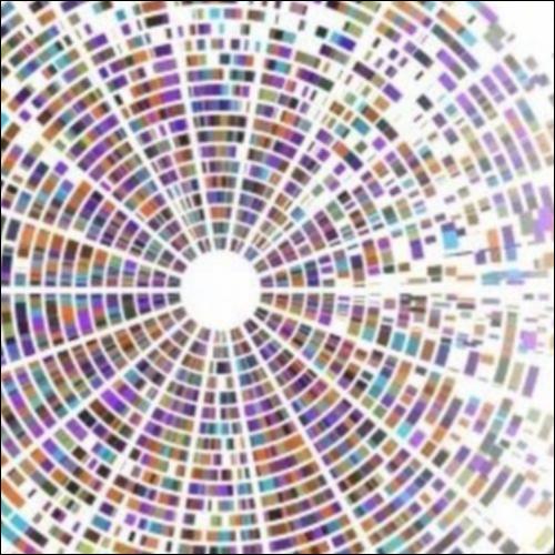 Έντεχνος συλλογισμός και μουσική. Τα εξώφυλλα των CDs_icon