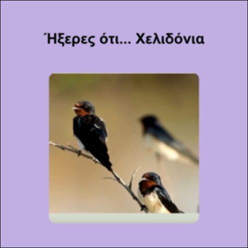 Ήξερες ότι... Χελιδόνια_icon