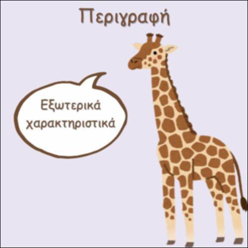 ΒΡΙΣΚΩ ΤΑ ΕΞΩΤΕΡΙΚΑ ΧΑΡΑΚΤΗΡΙΣΤΙΚΑ_icon