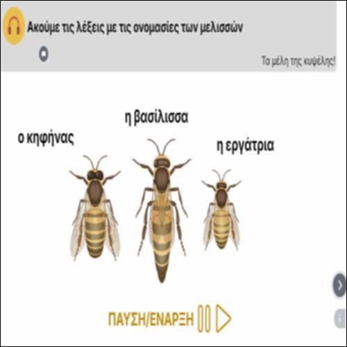Ακούμε τις λέξεις με τις ονομασίες των μελισσών_icon