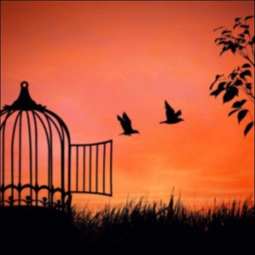 Δήλωση τρόπου και ποσού_icon