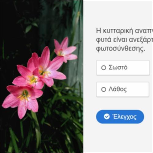 Φωτοσύνθεση - Διαπνοή - Αναπνοή_icon