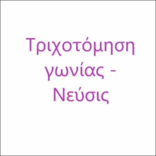 Τριχοτόμηση γωνίας με τη μέθοδο της νεύσεως_icon