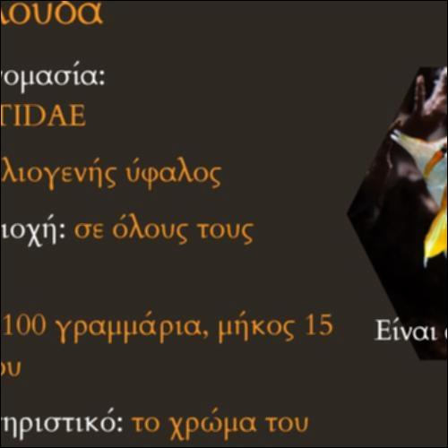 Ψάρι πεταλούδα_icon