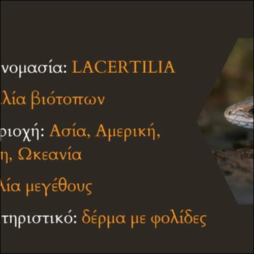 Σαύρα_icon