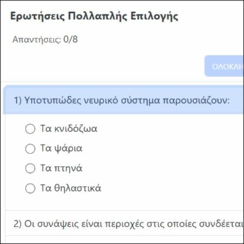 Ερωτήσεις Πολλαπλής Επιλογής_icon