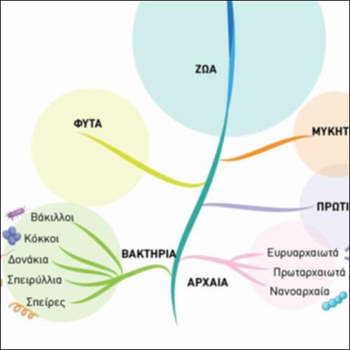 Φυλογενετικό Δένδρο_icon