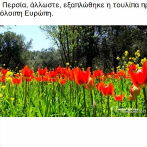 Λαλάδες_icon