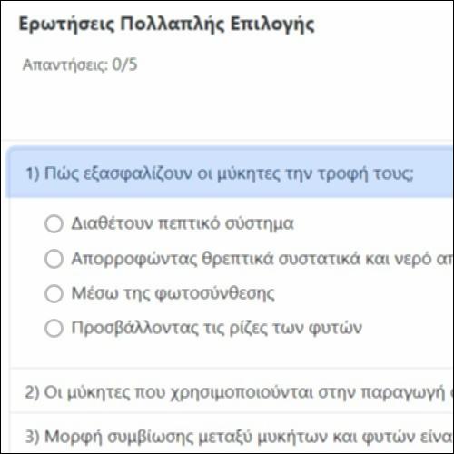 Ερωτήσεις Πολλαπλής Επιλογής_icon