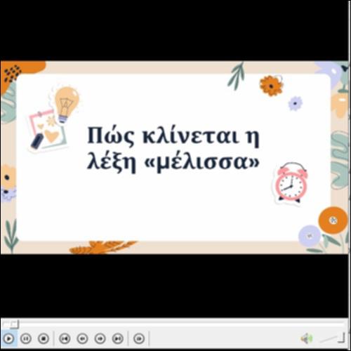 Αξιοποίηση βίντεο για την κλίση θηλυκών ουσιαστικών σε -α_icon